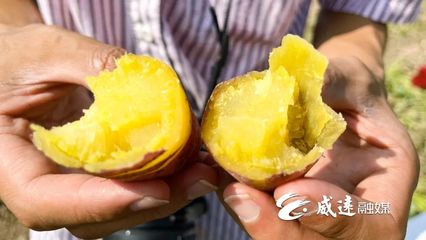 1元1斤！線上線下銷售火！威遠秋季美味火爆上市！